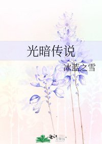 光暗传说