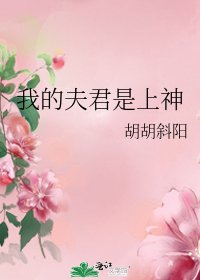 我的夫君是上神